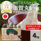 令和４年産　加賀丸いも　４ｋｇ　ファミリーパック大　大小ミックス　小傷あり　GI認証　希少野菜　生産農家　直送便　送料込み　