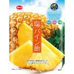 加藤製菓 塩パイン飴 58g×10袋（塩分補給 熱中症対策 フルーツキャンディ）