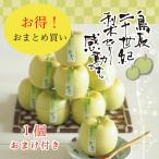 御中元 2025 おまとめ買い おまけ1個付 御祝 ゼリー 水菓子 ギフト お取り寄せスイーツ プレゼント 梨 鳥取二十世紀梨ゼリー 感動です。 寿製菓 鳥取 お土産