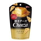 グリコ チーザ＜チェダーチーズ＞ 32g 10コ入り 2025/08/05発売 (4901005008519)