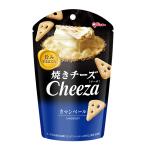 グリコ チーザ＜カマンベール＞ 32g 10コ入り 2025/08/05発売 (4901005008533)