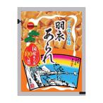 brubon aluminium перо . arare 36g 60ko ввод 2025/11/11 продажа (4901360365661c)