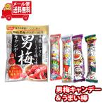 ショッピングぽっきり お菓子 詰め合わせ 1000円ぽっきり男梅キャンディうまい棒セット(2種・計5個) メール便 (omtmb8460)【お菓子 詰め合わせ 個包装 送料無料 ぽっきり ポッキリ】