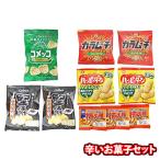 お菓子 詰め合わせ 1500円ポッキリ！おやつにもおつまみにも！大人がハマるピリッと辛いお菓子セット（5種・計10コ）メール便 (omtmb9619)