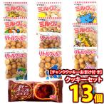 ショッピングぽっきり お菓子 詰め合わせ 【チャンククッキー2コおまけ付き】1500円ポッキリ！クッキー13コセット メール便 (omtmb9704)【ぽっきり ポッキリ