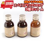 (地域限定送料無料) スパイスドリンクシロップ 100ml 3種セットA おかしのマーチ (sl006)