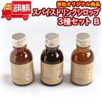 Yahoo! Yahoo!ショッピング(ヤフー ショッピング)（地域限定送料無料） スパイスドリンクシロップ 100ml 3種セットB おかしのマーチ （sl007）