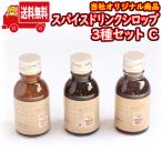 (地域限定送料無料) スパイスドリンクシロップ 100ml 3種セットC おかしのマーチ (sl008)