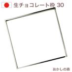 生チョコ枠 300mm角(大) チョコレート型 モルド ショコラ