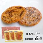 ＜賞味期限：最短2025/12/30＞焼生せ