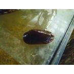 *OKATAN*isigai3 шт комплект 