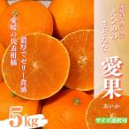 愛媛県産【愛果】ちょっと訳あり良品　サイズ選択可　【M〜３L】５ｋｇ　愛果２８号　えひめのまどんな　紅まどんな同品種