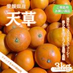 愛媛県産【天草】 訳ありお買い得品　３ｋｇ　紅マドンナの親みかん えひめ　みかん