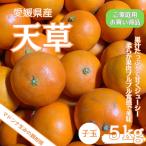 小玉　数量限定特別価格　愛媛県産【天草】 訳ありお買い得品　５ｋｇ　紅マドンナの親 えひめ　みかん　