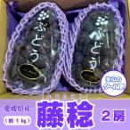 藤稔 ふじみのり 2房 約1kg 大粒 安心のクール便で発送 葡萄 ぶどう