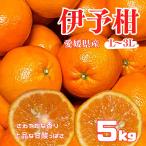 愛媛県産　伊予柑　いよかん　ちょっと訳あり　ご家庭向　２L前後 サイズ選択可　５ｋｇ　みかん　
