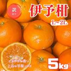 愛媛県産　伊予柑　いよかん　訳ありご家庭向　Ｌ〜２Lサイズ混合　５ｋｇ　みかん　訳ありお買い得品　