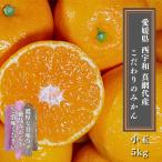 愛媛みかん こだわりの西宇和 真網代産　美味しい甘い【小玉】　ちょっと訳ありご家庭用　５ｋｇ　送料無料　当店おすすめ人気商品
