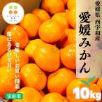 愛媛みかん  西宇和 八幡浜産  【美味しく】 お得にぱくぱく 【ご家庭用 お買い得みかん】 １０ｋｇ　