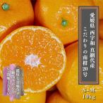 愛媛みかん  こだわりの西宇和 真網代産　ちょっと訳あり　【S~Mサイズ】１０ｋｇ　送料無料　当店おすすめ人気商品