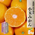 愛媛みかん  西宇和産　小玉みかん【美味しく】 お得にぱくぱく 【ご家庭用】 ３ｋｇ　訳あり　送料無料　甘い　美味しい　