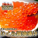 【ギフト対応可能】 贅沢 なプチプチ食感 北海道産 いくら醤油漬け 70g×3瓶 いくら 敬老の日 醤油漬け 新鮮 冷凍 海鮮 お取り寄せグルメ 宅配 卸業者 工場直送