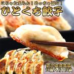 鹿児島黒豚 ひとくち餃子 45個 小分け3パック 餃子 ギョウザ 冷凍餃子 黒豚 国産 冷凍 おかず ジューシー お取り寄せグルメ ギフト プレゼント 卸業者 工場直送