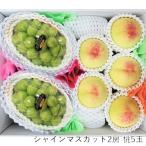白桃 シャインマスカット 岡山県産 詰め合わせ 約2kg 御中元 ギフト 送料込み