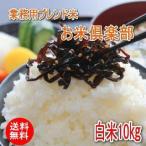 送料無料 業務用ブレンド米白米10kg