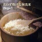 令和2年産 コシヒカリ 2kg 岡山県産米100% 無洗米 洗わずに炊ける 送料無料(一部地域を除く)