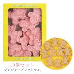 クリスマス クッキー型 10点セット クッキー セット 型 クッキー抜き型 スタンプ ジンジャーブレッドマン クッキー 型抜き クリスマス クッキー型