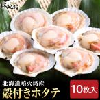 ホタテ 殻付き 北海道産 10枚入 殻長10-11cm 冷凍 ほたて 帆立 海鮮BBQ バーベキュー
