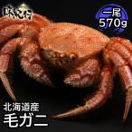 毛ガニ 北海道産 約570g 1尾入り ボイル済 送料無料 ギフト カニ かに 蟹