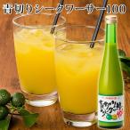 青切りシークヮーサー100 500ml
