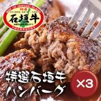 石垣牛ハンバーグ8個　ギフトセット 3箱セット