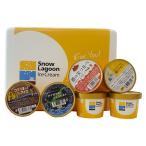 Snow Lagoon Ice Cream　OKINAWAバラエティパック6個入りアイスクリーム｜お歳暮　御歳暮　ギフト　送料無料