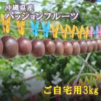 【4月中旬以降順次発送】パッションフルーツ ご自宅用　３kg [約30~40個] 　