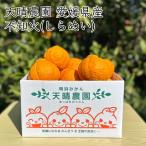 天晴農園 愛媛県産 不知火 約3kg *9〜13個《産地直送》【送料無料 北海道沖縄離島除く】国産 しらぬい シラヌイ デコポン でこぽん デコオレンジ デコタン 甘い