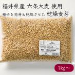  ячмень клуб Fukui префектура производство шесть статья ячмень сухой пшеница .{ производитель прямая поставка compact рейс }[ бесплатная доставка Okinawa кроме отдаленных островов ] местного производства шесть статья ячмень пшеница . сухой пшеница . malt сухой большая вместимость для бизнеса бизнес 