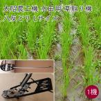太昭農工機 水田用草取り機 八反どり Lサイズ《メーカー直送》【送料無料 北海道沖縄離島除く】はったん取り はったんどり 八反取り 水田 田んぼ 水田用