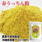 ウコン粉末 春うっちん粉 200g 沖縄産 春ウコン 粉末 パウダー うっちん沖縄 定形外