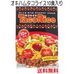 タコライス 10食入り ファミリーパ