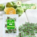 si-k.-sa- коричневый сахар 100g×1 пакет коричневый сахар сладости Okinawa . земля производство шт упаковка ваш заказ конфеты местного производства Okinawa префектура производство si-kwa-sa- бесплатная доставка . лампочка коричневый сахар 