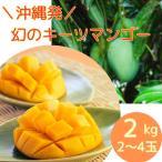 キーツマンゴー 送料無料 沖縄県産 キーツマンゴー 秀品 2kg (2〜4玉) 大玉 美味しい マンゴー 沖縄 緑のマンゴー 幻のマンゴー 沖縄産 甘い ご褒美 プチ贅沢