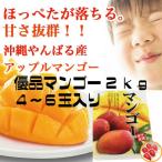  Okinawa префектура производство манго ( super товар ) 2kg 4~6 шар ввод подарок включая доставку Okinawa .. манго Apple манго подарок на Bon Festival популярный подарок .. товар Okinawa префектура производство манго 