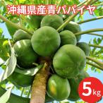 パパイヤ スーパーフード 沖縄県産 青パパイヤ 5kg(約5〜10玉) 送料込 沖縄 パパイア 産地直送 沖縄土産 沖縄野菜 パパイン酵素 しまやさい