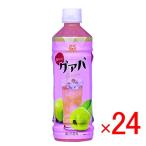 グァバ 沖縄ボトラーズ 500ml 24本