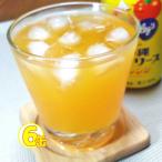 バヤリースオレンジ350ml 6缶セット