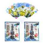 熱中症対策 ミニオンズ扇子TOUCH DOWN 沖縄のミネラル塩飴 2個