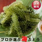 【業務用】産直 海ぶどう 1kg 沖縄県産 父の日 お得 大容量 美味しい サラダ うみぶどう 海ブドウ クビレズタ アテ 沖縄 沖縄土産 沖縄料理 沖縄旅行 ギフト
